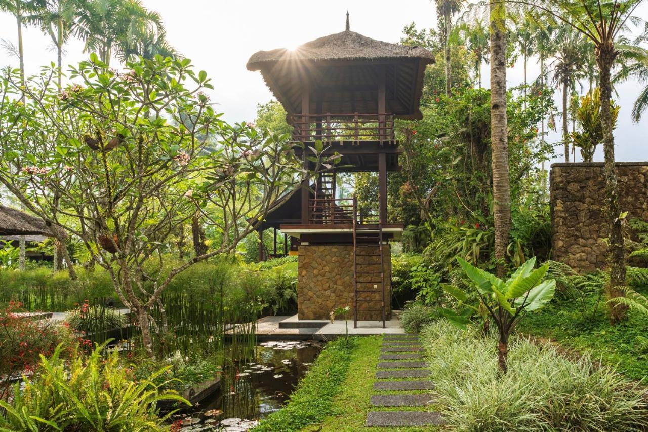 Awan Putih Resort بيانغان المظهر الخارجي الصورة